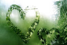 土媒：拜仁有意引进费内巴切岁中后卫阿克奇切克.