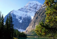 喜鹊擒炮兵夺各项赛事七连胜 联赛杯半决赛首回合占先机.